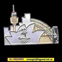 Fundraiser for the SPCAI...